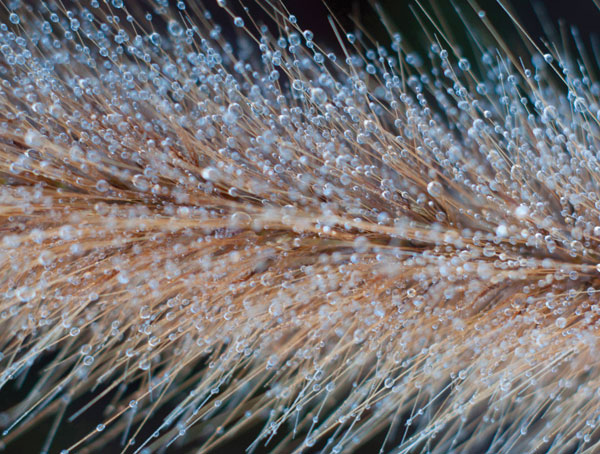 Προτάσεις για διακόσμησηΟ πίνακας σε καμβά FLOC-167, με τον εκπληκτικό του σχεδιασμό από λουλούδια, είναι ιδανικός για να φέρει μια φρέσκια και φυσική νότα στον χώρο σας. Σε ένα κλασικό στυλ διακόσμησης, μπορεί να τοποθετηθεί σε ένα κομψό σαλόνι ή στην τραπεζαρία, δίνοντας έναν ευγενή χαρακτήρα. Στον αντίποδα, η ενσωμάτωσή του σε ένα μοντέρνο σαλόνι θα προσφέρει μια ανανέωση του χώρου με το φυσικό, αλλά σύγχρονο ύφος των λουλουδιών. Επίσης, σε έναν μινιμαλιστικό χώρο, με απλές γραμμές και ουδέτερα χρώματα, ο πίνακας θα λειτουργήσει ως κεντρικό στοιχείο που προσθέτει ενδιαφέρον και ζωντάνια.Λίγα λόγια για τον πίνακαΟ πίνακας σε καμβά FLOC-167 ανήκει στην κατηγορία των λουλουδιών, και αυτή του η απεικόνιση συμβολίζει την αναγέννηση και την φυσική κομψότητα. Με τέλεια διατηρημένες λεπτομέρειες, ο καλλιτέχνης έχει καταφέρει να αποτυπώσει την αυθεντικότητα και την πολυπλοκότητα των λουλουδιών μέσα από την ομαλή ροή των γραμμών και τη διακριτική χρήση των χρωμάτων. Οι απαλές αποχρώσεις σε συνδυασμό με τις αναδυόμενες πινελιές φωτός, δημιουργούν μια αίσθηση αρμονίας και ισορροπίας. Τα ζωηρά χρώματα των λουλουδιών εναρμονίζονται μοναδικά με το φόντο, προσφέροντας μια αίσθηση φυσικής ομορφιάς και γοητείας.Η σύνθεση του πίνακα FLOC-167 δημιουργεί μια αίσθηση ηρεμίας και αναζωογόνησης καθώς μεταφέρει τη φυσική ομορφιά και την αθωότητα των λουλουδιών. Η λεπτομέρεια στις υφές και οι αρμονικές αποχρώσεις προκαλούν συναισθήματα ευφορίας και αναπόλησης στον θεατή. Εμφανίζεται η θέληση του καλλιτέχνη να αποτυπώσει τη στιγμή που ανθίζει η φύση, προκειμένου να καλύψει τον χώρο με ζωντάνια και φρεσκάδα. Η παρουσία αυτού του έργου τέχνης στον χώρο μπορεί να ενισχύσει την αίσθηση της ευεξίας και της ηρεμίας, κάνοντάς το ιδανικό κομμάτι διακόσμησης για κάθε εσωτερικό χώρο.Ψηφιακή εκτύπωση σε καμβά. Ο καμβάς είναι υψηλής ποιότητας, ειδικός για ψηφιακή εκτύπωση που αναδεικνύει τα χρώματα. Είναι ιδανικός για διακόσμηση εσωτερικών χώρων. Παραλαμβάνετε τον πίνακα με την ψηφιακή εκτύπωση καμβά, τελαρωμένο σε τελάρο από ανθεκτικό ξύλο 2εκ, στη διάσταση που θέλετε.