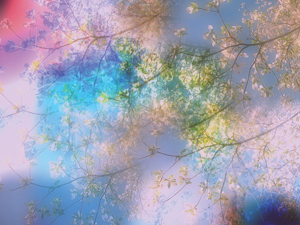 Προτάσεις για διακόσμησηΑυτός ο όμορφος πίνακας σε καμβά, με τον κωδικό FLOC-183, αποπνέει μια γαλήνια αίσθηση λουλουδιών που μπορεί εύκολα να ενσωματωθεί σε διάφορα στυλ διακόσμησης. Στον κλασικό σχεδιασμό, οι απαλές αποχρώσεις των πετάλων μπορούν να προσδώσουν μια λεπτή κομψότητα, ενώ σε ένα μοντέρνο χώρο, οι καθαρές γραμμές του πορτρέτου μπορούν να φέρουν μια φρέσκια και ζωντανή νότα. Στο μινιμαλιστικό ύφος, ο πίνακας προσθέτει μια διακριτική αλλά καθοριστική πινελιά, αναδεικνύοντας το κενό με την απλότητά του.Λίγα λόγια για τον πίνακαΟ FLOC-183 ανήκει στην κατηγορία των σύγχρονων πίνακων σε καμβά με θέμα τα λουλούδια. Η τεχνοτροπία του αποτυπώνεται μέσα από ανάλαφρες πινελιές και ρομαντικούς τόνους που συνδυάζονται αρμονικά, αποδίδοντας μια ευχάριστη και χαλαρωτική αισθητική. Η χρήση χρωμάτων όπως τα απαλό ροζ και το λευκό δημιουργούν μια απαλή συμμετρία που είναι ευχάριστη στο μάτι, προσφέροντας μια ηρεμία στο θεατή.Ο καλλιτέχνης φέρνει μια αίσθηση φρεσκάδας με την εμπνευσμένη αποτύπωση των λουλουδιών,τα οποία εδώ συμβολίζουν την αναγέννηση και τη φυσική ομορφιά. Με την ανάλαφρη απόδοση των υλικών, ο πίνακας καταφέρνει να παράγει μια ζεστή και ευχάριστη ατμόσφαιρα. Είναι καθηλωτικό το πώς το βλέμμα του θεατή παρασύρεται σε μια αίσθηση ελπίδας και ανανέωσης, διεγείροντας την σκέψη και το συναίσθημα μέσα από την απαλή του προσέγγιση.Ψηφιακή εκτύπωση σε καμβά. Ο καμβάς είναι υψηλής ποιότητας, ειδικός για ψηφιακή εκτύπωση που αναδεικνύει τα χρώματα. Είναι ιδανικός για διακόσμηση εσωτερικών χώρων. Παραλαμβάνετε τον πίνακα με την ψηφιακή εκτύπωση καμβά, τελαρωμένο σε τελάρο από ανθεκτικό ξύλο 2εκ, στη διάσταση που θέλετε.