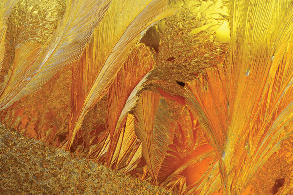 Προτάσεις για διακόσμησηΟ πίνακας σε καμβά FLOC-193 με θέμα λουλουδιών, προσφέρει μια υπέροχη προσθήκη σε διάφορα στυλ διακόσμησης. Σε έναν κλασικό χώρο, οι ζεστές αποχρώσεις του πίνακα μπορούν να προσθέσουν μια πινελιά κομψότητας και διαχρονικής ομορφιάς. Σε έναν μοντέρνο χώρο, η ζωντάνια των χρωμάτων μπορεί να δημιουργήσει ένα κομψό αλλά εντυπωσιακό αποτέλεσμα. Για τους λάτρεις του μινιμαλιστικού στυλ, ο πίνακας μπορεί να αποτελέσει το βασικό στοιχείο που προσθέτει ζωντάνια και κίνηση, διατηρώντας παράλληλα την απλότητα της σύνθεσης.Λίγα λόγια για τον πίνακαΟ δημιουργός επιλέγει να τονίσει τα λουλούδια, αποδίδοντας με δεξιοτεχνία την απαλότητα και τη λεπτή φύση τους. Το θέμα εξερευνά την ομορφιά και την ευθραυστότητα της φύσης, προκαλώντας τον θεατή να αναλογιστεί τη σύντομη και θαυματουργή ύπαρξη της ζωής. Τα παλ χρώματα όπως το απαλό ροζ και το λευκό προσφέρουν μια φρέσκια και αρμονική σύνθεση, ενώ οι λεπτομέρειες των λουλουδιών αναδεικνύονται με λεπτές και ακριβείς πινελιές, χαρίζοντας στον πίνακα έναν μοναδικό χαρακτήρα.Η επιλογή των χρωμάτων και η ευαίσθητη απόδοση των λουλουδιών στον πίνακα σε καμβά FLOC-193 δημιουργούν μια αίσθηση ηρεμίας και γαλήνης. Ο θεατής μπορεί να αισθανθεί να καθηλώνεται σε μια στιγμή ησυχίας, όπου η ομορφιά της φύσης εκτυλίσσεται μπροστά του. Η εναλλαγή φωτός και σκιάς μαρτυρά έναν βαθύ σεβασμό για τη φύση, παρέχοντας την τέλεια πρόσκληση για άμεση σύνδεση με τον καμβά.Ψηφιακή εκτύπωση σε καμβά. Ο καμβάς είναι υψηλής ποιότητας, ειδικός για ψηφιακή εκτύπωση που αναδεικνύει τα χρώματα. Είναι ιδανικός για διακόσμηση εσωτερικών χώρων. Παραλαμβάνετε τον πίνακα με την ψηφιακή εκτύπωση καμβά, τελαρωμένο σε τελάρο από ανθεκτικό ξύλο 2εκ, στη διάσταση που θέλετε.