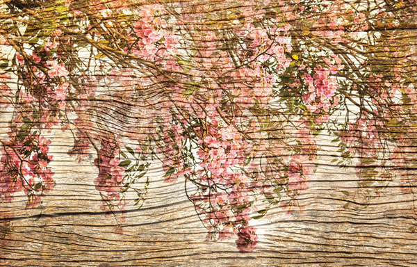 Προτάσεις για διακόσμησηΟ πίνακας σε καμβά FLOC-198 με θέμα λουλούδια φέρνει μια εκπληκτική αίσθηση φρεσκάδας και αρμονίας σε κάθε χώρο. Οι απαλές αλλά ζωηρές αποχρώσεις των λουλουδιών μπορούν να ενσωματωθούν σε κλασικά και μοντέρνα στυλ διακόσμησης, προσδίδοντας μια χαλαρωτική αίσθηση στο περιβάλλον. Σε έναν μινιμαλιστικό χώρο, ο πίνακας προσφέρει το αναγκαίο χρώμα και φιλοξενία για να αναδείξει την απλότητα του σχεδιασμού.Λίγα λόγια για τον πίνακαΗ σύνθεση του πίνακα FLOC-198 παρουσιάζει μια ατμοσφαιρική σκηνή λουλουδιών με εξαιρετική λεπτομέρεια και χρώματα που αντανακλούν τη ζωντάνια της φύσης. Η τεχνική χρήση του φωτός και των σκιών δημιουργεί βάθος και προοπτική, αποδίδοντας μια τρισδιάστατη αίσθηση. Το θέμα αναδεικνύει την διαχρονική ομορφιά των λουλουδιών, ενώ οι αποχρώσεις προσδίδουν αρμονία και ισορροπία στο συνολικό έργο.Ο πίνακας προκαλεί μια βαθιά αίσθηση ηρεμίας και γαλήνης στον θεατή. Η φυσική ομορφιά των λουλουδιών και ο τρόπος που αποτυπώνονται δημιουργούν έναν σύνδεσμο με τον θεατή, προσκαλώντας τον σε μια εσωτερική αναζήτηση του ιδανικού. Προσφέρει μια στιγμή φυγής από την καθημερινότητα, εξερευνώντας τη σχέση του ανθρώπου με τη φύση και την τέχνη, μεταφέροντας τον θεατή σε έναν κόσμο γεμάτο χρώμα.Ψηφιακή εκτύπωση σε καμβά. Ο καμβάς είναι υψηλής ποιότητας, ειδικός για ψηφιακή εκτύπωση που αναδεικνύει τα χρώματα. Είναι ιδανικός για διακόσμηση εσωτερικών χώρων. Παραλαμβάνετε τον πίνακα με την ψηφιακή εκτύπωση καμβά, τελαρωμένο σε τελάρο από ανθεκτικό ξύλο 2εκ, στη διάσταση που θέλετε.