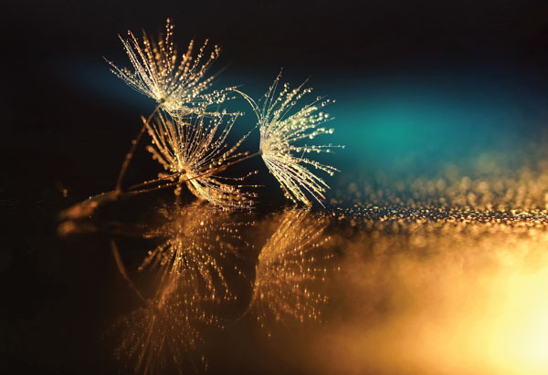 Προτάσεις για διακόσμησηΟ πίνακας σε καμβά FLOC-203 αποτελεί μια εξαιρετική επιλογή για διάφορα στυλ διακόσμησης. Σε έναν κλασικό χώρο, μπορεί να προσθέσει μια πινελιά φρεσκάδας με τα λουλούδια του, ισορροπώντας την παραδοσιακή αισθητική με την ομορφιά της φύσης. Σε ένα μοντέρνο περιβάλλον, ο πίνακας αυτός προσφέρει μια απαλή χρωματική αντίθεση που αναδεικνύει τον σύγχρονο σχεδιασμό, προσφέροντας μια ζεστή και φιλόξενη αίσθηση. Στους μινιμαλιστικούς χώρους, η απλότητα της λουλουδένιας απεικόνισης μπορεί να αποτελέσει το κεντρικό κομμάτι που κλέβει την παράσταση, χωρίς όμως να βαραίνει την αισθητική του χώρου.Λίγα λόγια για τον πίνακαΟ πίνακας FLOC-203 μας παρουσιάζει έναν κομψό και ουδέτερο συνδυασμό χρωμάτων, με απαλές πινελιές και ευχάριστες υφές που δημιουργούν μια αίσθηση ηρεμίας και φυσικής ομορφιάς. Τεχνικά, οι καλοδουλεμένες αποχρώσεις των λουλουδιών εμφανίζονται σε αντιπαράθεση με πιο ζεστές και ψυχρές αποχρώσεις, προσφέροντας βάθος και ζωντάνια στο έργο. Συμβολισμός: Τα λουλούδια πάντα συνόδευαν στιγμές γιορτής, αγάπης και ελπίδας, και εδώ συμβολίζουν την αιώνια αναγέννηση και τη δύναμη της φύσης.Ο πίνακας δημιουργεί αίσθηση αρμονίας, μεταφέροντας τον θεατή σε έναν κόσμο όπου κυριαρχεί η απλότητα και η φυσική ομορφιά. Μεταφέρει μια βαθιά αίσθηση ηρεμίας και χαλάρωσης, προκαλώντας αναμνήσεις από στιγμές με έντονα αρώματα και απαλή αύρα της φύσης. Επιπλέον, η επαναλαμβανόμενη ροή και οι ρυθμοί της απεικόνισης, δημιουργούν μια αίσθηση συνέχειας και ασφάλειας στον θεατή.Ψηφιακή εκτύπωση σε καμβά. Ο καμβάς είναι υψηλής ποιότητας, ειδικός για ψηφιακή εκτύπωση που αναδεικνύει τα χρώματα. Είναι ιδανικός για διακόσμηση εσωτερικών χώρων. Παραλαμβάνετε τον πίνακα με την ψηφιακή εκτύπωση καμβά, τελαρωμένο σε τελάρο από ανθεκτικό ξύλο 2εκ, στη διάσταση που θέλετε.