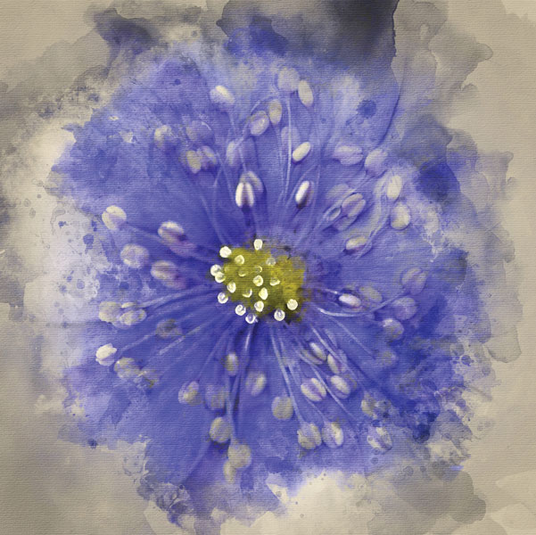 Προτάσεις για διακόσμησηΟ πίνακας σε καμβά FLOC-210 μπορεί να ενταχθεί με ευκολία σε διάφορα στυλ διακόσμησης, Αναδεικνύοντας το χώρο με την απαλή του προσέγγιση και τις φυσικές αποχρώσεις του, αποτελεί ιδανική επιλογή για έναν κλασικό ή ρομαντικό χώρο. Σε ένα μοντέρνο ή μινιμαλιστικό περιβάλλον, μπορεί να προσθέσει μια πινελιά ζεστασιάς και φινέτσας, δημιουργώντας μια ισορροπία ανάμεσα στην απλότητα και την αρμονία της διακόσμησης με λουλούδια. Λίγα λόγια για τον πίνακαΩς ένας πίνακας σε καμβά, FLOC-210 ενσωματώνει την τέχνη των λουλουδιών, αποτυπώνοντας την αιθέρια μαγεία και την ομορφιά της φύσης. Τα απαλά, φυσικά χρώματα μαζί με τις δεξιοτεχνικές πινελιές δημιουργούν έναν αέρα αρμονίας και ηρεμίας. Η λεπτομερής απεικόνιση των λουλουδιών αντανακλά την λεπτότητα και την προσοχή του καλλιτέχνη στη λεπτομέρεια. Ο φωτισμός συμβολίζει την ανανέωση και την αναγέννηση, προσφέροντας στον θεατή μια αίσθηση εσωτερικής γαλήνης.Η ποικιλία των αποχρώσεων σχηματίζει οργανικούς συνδυασμούς που δίνουν ζωή και κίνηση στον πίνακα.Ο πίνακας δημιουργεί μια αίσθηση ηρεμίας και συνδέεται άμεσα με τη φύση, προσφέροντας μια ευχάριστη οπτική εμπειρία στον θεατή. Εκπέμπει μια διαχρονική κομψότητα που μπορεί να αποτελέσει κεντρικό στοιχείο σε κάθε δωμάτιο, μεταδίδοντας συναισθήματα χαλάρωσης και θετικής ενέργειας. Με την απλότητα και την ομορφιά των λουλουδιών, ο πίνακας προσκαλεί τον θεατή να στοχαστεί πάνω στη λεπτομέρεια και την αρμονία της φύσης.Ψηφιακή εκτύπωση σε καμβά. Ο καμβάς είναι υψηλής ποιότητας, ειδικός για ψηφιακή εκτύπωση που αναδεικνύει τα χρώματα. Είναι ιδανικός για διακόσμηση εσωτερικών χώρων. Παραλαμβάνετε τον πίνακα με την ψηφιακή εκτύπωση καμβά, τελαρωμένο σε τελάρο από ανθεκτικό ξύλο 2εκ, στη διάσταση που θέλετε.