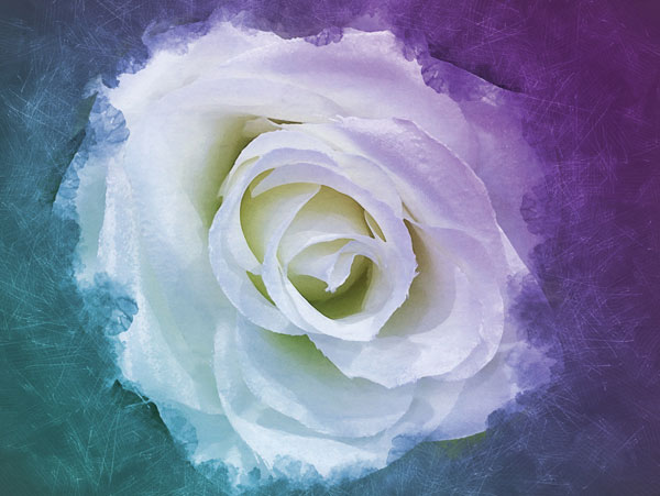 Προτάσεις για διακόσμησηΟ πίνακας σε καμβά FLOC-219 αποτελεί μια εξαιρετική επιλογή για κάθε χώρο που επιθυμείτε να προσδώσετε μια αίσθηση φρεσκάδας και φυσικής ομορφιάς. Τα ζωντανά χρώματα και η αρμονία του σχεδίου του μπορούν να βρουν τη θέση τους τόσο σε έναν μοντέρνο όσο και σε έναν κλασικό διάκοσμο, φωτίζοντας εσωτερικούς χώρους όπως σαλόνια ή γραφεία. Στο μινιμαλιστικό στυλ, ο πίνακας λειτουργεί ως το κεντρικό στοιχείο, ενώ σε περιβάλλοντα με περισσότερη διακόσμηση, εμπλουτίζει και συμπληρώνει το συνολικό ύφος.Λίγα λόγια για τον πίνακαΟ πίνακας FLOC-219 ανήκει στην κατηγορία των λουλουδιών και παρουσιάζει μια εντυπωσιακή απεικόνιση που αιχμαλωτίζει τον θεατή. Η λεπτομερής δουλειά στις υφές και στις σκιάσεις δίνει μια αίσθηση κινητικότητας και ζωντάνιας στα λουλούδια, αποδίδοντας την φυσική τους ομορφιά με ένα ξεχωριστό τρόπο. Τα χρώματα είναι επιλεγμένα με προσοχή, ώστε να δημιουργούν ένα γαλήνιο εφέ, με την πινελιά του κόκκινου να συμβολίζει την ζεστασιά και τη ζωή.Η αίσθηση που αποπνέει ο πίνακας είναι εκείνη της ηρεμίας και της αναζωογόνησης, κάνοντας τον θεατή να αισθάνεται συνδεδεμένος με τη φύση. Οι αποχρώσεις και οι λεπτομέρειες των λουλουδιών προσκαλούν σε μια στιγμή στοχασμού, φέρνοντας μια αίσθηση γαλήνης και ανανέωσης στον θεατή, καθώς απολαμβάνει την καλλιτεχνική αυτή αναπαράσταση.Ψηφιακή εκτύπωση σε καμβά. Ο καμβάς είναι υψηλής ποιότητας, ειδικός για ψηφιακή εκτύπωση που αναδεικνύει τα χρώματα. Είναι ιδανικός για διακόσμηση εσωτερικών χώρων. Παραλαμβάνετε τον πίνακα με την ψηφιακή εκτύπωση καμβά, τελαρωμένο σε τελάρο από ανθεκτικό ξύλο 2εκ, στη διάσταση που θέλετε.