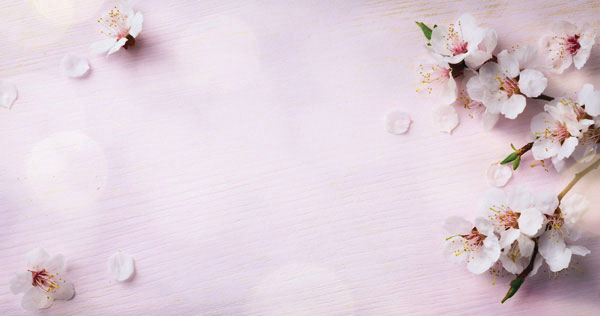 Προτάσεις για διακόσμησηΟ πίνακας σε καμβά FLOC-244 αναδεικνύει την ομορφιά των λουλουδιών μέσα από έναν σύγχρονο αισθητικά φακό, προσφέροντας ευκαιρίες για ενσωμάτωσή του σε διάφορα στυλ διακόσμησης. Σε ένα μοντέρνο περιβάλλον, ο πίνακας μπορεί να φιλοξενηθεί σε ένα καθαρό και ανοικτό χώρο, προσδίδοντας χρώμα και ζωντάνια. Σε ένα κλασικό στυλ, μπορεί να τοποθετηθεί πάνω από ένα διακοσμητικό τζάκι ή σε έναν τοίχο με κομψά πλαίσια, προσθέτοντας μια πινελιά φρεσκάδας. Για τον μινιμαλιστικό χώρο, ο πίνακας σε καμβά θα λειτουργήσει ιδανικά ως κεντρικό κομμάτι σε έναν ουδέτερο τοίχο, εστιάζοντας την προσοχή στο απλό, αλλά βαθύ μήνυμα της φύσης.Λίγα λόγια για τον πίνακαΟ πίνακας FLOC-244 αποτυπώνει μια στιγμιαία σύνθεση από πολύχρωμα άνθη με αφαιρετικό ύφος, ενώ η ακρίβεια της λεπτομέρειας υπογραμμίζει την καλλιτεχνική του αξία. Οι απαλές πινελιές και οι μεταβάσεις στα χρώματα δημιουργούν μια αίσθηση κίνησης και αρμονίας, εμπλουτισμένες με ζεστές και ψυχρές αποχρώσεις. Το έργο εξερευνά τη διαρκή σχέση του ανθρώπου με τη φύση, ενώ το παιχνίδι με το φως και τη σκιά συμβολίζει την αναγέννηση και την ελπίδα. Τεχνικά, πρόκειται για μια ψηφιακή εκτύπωση σε καμβά που αναδεικνύει δεξιοτεχνικά τα ζωντανά χρώματα και τις υφές της ζωγραφικής.Ο πίνακας FLOC-244 δημιουργεί μια αίσθηση ηρεμίας και γαλήνης, που μπορεί να πιάσει το θεατή με την απλότητα και την ομορφιά του. Το έργο φαίνεται να αναπνέει τη φυσική αύρα του μέσα από την ανάλαφρη σύσταση των χρωμάτων και των σχεδίων, μετατρέποντας κάθε χώρο σε ένα μικρό καταφύγιο γεμάτο ζωή. Με μια στάση προς το διαχρονικό και το διακριτικό, αγγίζει τις καρδιές εκείνων που αναζητούν μια βαθιά σύνδεση με την τέχνη.Ψηφιακή εκτύπωση σε καμβά. Ο καμβάς είναι υψηλής ποιότητας, ειδικός για ψηφιακή εκτύπωση που αναδεικνύει τα χρώματα. Είναι ιδανικός για διακόσμηση εσωτερικών χώρων. Παραλαμβάνετε τον πίνακα με την ψηφιακή εκτύπωση καμβά, τελαρωμένο σε τελάρο από ανθεκτικό ξύλο 2εκ, στη διάσταση που θέλετε.