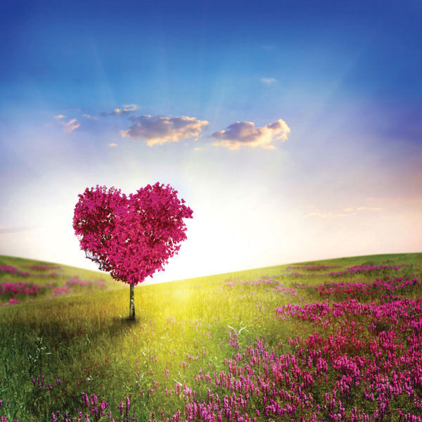 Προτάσεις για διακόσμησηΟ πίνακας σε καμβά FLOZ-252 με θέμα τα λουλούδια μπορεί να δώσει ζωντάνια και φρεσκάδα σε κάθε εσωτερικό χώρο. Αυτή η δημιουργία ενσωματώνεται άριστα σε ένα κλασικό στυλ διακόσμησης, προσφέροντας μια αίσθηση κομψότητας και διαχρονικότητας. Στον μοντέρνο χώρο, ο πίνακας προσθέτει μια χρωματική ανάπαυλα που μαλακώνει τις σκληρές γραμμές και προσδίδει έναν θερμό τόνο. Στην περίπτωση του μινιμαλιστικού στυλ, λειτουργεί ως κεντρικό στοιχείο που εστιάζει την προσοχή και δημιουργεί μια ήρεμη και διακόσμηση με βάθος.Λίγα λόγια για τον πίνακαΟ πίνακας FLOZ-252 είναι ένα αριστούργημα που απεικονίζει άνθη σε ολάνθιστη κατάσταση με μια έντονη και ζωντανή χρωματική παλέτα. Η επιλογή των χρωμάτων και η ευγενική χρήση της φωτοσκίασης δημιουργούν έναν αρμονικό συνδυασμό που μαγνητίζει το βλέμμα. Οι λεπτομέρειες των λουλουδιών παρουσιάζονται με ακρίβεια, δίνοντας έμφαση στις υφές που ενισχύουν την αίσθηση της τρισδιάστατης αληθοφάνειας. Το θέμα ενσωματώνει τις ιδέες της αναγέννησης και της φυσικής ομορφιάς, προσκαλώντας τον θεατή να αναλογιστεί τη ζωτική σχέση του ανθρώπου με τη φύση.Ο πίνακας δημιουργεί μια αίσθηση ηρεμίας και έκρηξης χρώματος ταυτόχρονα, με αποτέλεσμα να προκαλεί συναισθήματα χαράς και ελπίδας στον θεατή. Κομψός και παραστατικός, προσφέρει μια συναισθηματική διαδρομή μέσα από την αλληλεπίδραση του φωτός και της σκιάς, προσκαλώντας το θεατή σε έναν κόσμο ομορφιάς και απόλαυσης. Το αποτέλεσμα είναι μια διαχρονική και εντυπωσιακή ένταση που συνδέεται βαθιά με τον παρατηρητή.Ψηφιακή εκτύπωση σε καμβά. Ο καμβάς είναι υψηλής ποιότητας, ειδικός για ψηφιακή εκτύπωση που αναδεικνύει τα χρώματα. Είναι ιδανικός για διακόσμηση εσωτερικών χώρων. Παραλαμβάνετε τον πίνακα με την ψηφιακή εκτύπωση καμβά, τελαρωμένο σε τελάρο από ανθεκτικό ξύλο 2εκ, στη διάσταση που θέλετε.