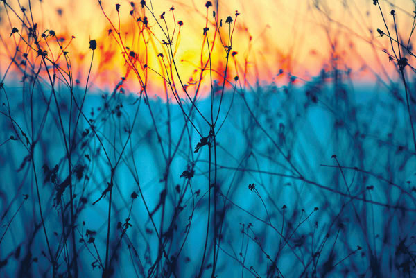 Προτάσεις για διακόσμησηΟ πίνακας FLOC-258 είναι μια εκλεπτυσμένη προσθήκη που μπορεί να αναβαθμίσει ποικίλα στυλ διακόσμησης, τόσο κλασικά όσο και μοντέρνα. Οι μαλακές αποχρώσεις και η φυσική θεματολογία των λουλουδιών του, μπορούν να προσδώσουν μια αίσθηση ζωντάνιας και φρεσκάδας σε έναν χώρο. Για ένα μοντέρνο περιβάλλον, μπορεί να συνδυαστεί με μίνιμαλ έπιπλα και γραμμικές επιφάνειες, ενώ για ένα κλασικό στυλ, είναι ιδανικός πάνω από μια ξύλινη κονσόλα ή στο καθιστικό, παρέχοντας μια διαχρονική πινελιά κομψότητας. Ο πίνακας σε καμβά προσαρμόζεται εύκολα σε κάθε διακοσμητικό πλαίσιο χάρη στην ευελιξία του θέματός του.Λίγα λόγια για τον πίνακαΗ ψηφιακή εκτύπωση σε καμβά FLOC-258 παρουσιάζει μια σειρά από λουλούδια με λεπτομερή αναπαράσταση, κάνοντάς τα να φαίνονται σχεδόν τρισδιάστατα. Η χρήση απαλών χρωμάτων με τις συνδυασμένες ροζ και πράσινες αποχρώσεις φέρνει μια αρμονία στο έργο, δημιουργώντας μια αίσθηση χαλάρωσης και ηρεμίας στο περιβάλλον που τοποθετείται. Η ευρεία χρήση του φωτός και των σκιών προσφέρει βάθος και καθιστά την εικόνα εξαιρετικά ρεαλιστική, δείχνοντας τεχνική δεξιοτεχνία και ολοκληρωμένη καλλιτεχνική προσέγγιση.Ο πίνακας FLOC-258 δημιουργεί μια αίσθηση ηρεμίας και ευφορίας, προκαλώντας σκέψεις για την ομορφιά της απλότητας στη φύση. Το θέμα του με τα λουλούδια προσφέρει έναν διαχρονικό μαγνητισμό, φθάνοντας τον θεατή σε μια στιγμή σύνδεσης με τη φύση, ακόμη και εντός αστικών χώρων. Το έργο ενέχει μια γλυκιά μελαγχολία και μια αίσθηση ανανέωσης μέσω της πολύχρωμης παλέτας του, αφήνοντας τον θεατή με μια αίσθηση γαλήνης και εσωτερικής χαράς.Ψηφιακή εκτύπωση σε καμβά. Ο καμβάς είναι υψηλής ποιότητας, ειδικός για ψηφιακή εκτύπωση που αναδεικνύει τα χρώματα. Είναι ιδανικός για διακόσμηση εσωτερικών χώρων. Παραλαμβάνετε τον πίνακα με την ψηφιακή εκτύπωση καμβά, τελαρωμένο σε τελάρο από ανθεκτικό ξύλο 2εκ, στη διάσταση που θέλετε.