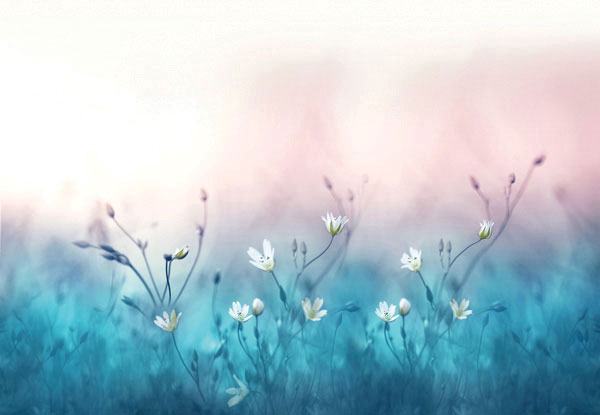 Προτάσεις για διακόσμησηΑυτός ο πίνακας σε καμβά με θέμα τα λουλούδια είναι ιδανικός για να προσδώσει ζωντάνια και κομψότητα σε κάθε εσωτερικό χώρο. Στο κλασικό στυλ διακόσμησης, θα λειτουργήσει ως κεντρικό κομμάτι πάνω από το τζάκι ή στον τοίχο του σαλονιού, αναδεικνύοντας την αρχοντική του αύρα. Σε έναν μοντέρνο εσωτερικό χώρο, οι ανάλαφρες πινελιές του πίνακα και οι οργανικές γραμμές του μπορούν να προσδώσουν μια φρέσκια και κομψή διάσταση στο χώρο, ενώ στο μινιμαλιστικό στυλ, οι απαλοί τόνοι και η απλότητα του θέματος προσφέρουν την ιδανική αρμονία χωρίς υπερβολές.Λίγα λόγια για τον πίνακαΟ πίνακας FLOC-260 είναι μια εκφραστική ζωγραφική με έμφαση στη φυσική ομορφιά των λουλουδιών. Οι απαλές χρωματικές αποχρώσεις και η χρήση λεπτών πινελιών δημιουργούν μια αίσθηση ονειρικής αρμονίας, αποτυπώνοντας την αέναη γοητεία της φύσης. Το θέμα του πίνακα διερευνά την ανθοφορία ως σύμβολο ανανέωσης και ελπίδας, ενώ οι αποχρώσεις των λουλουδιών αντανακλούν τη γαλήνη και την ηρεμία της φύσης. Οι υφές και οι λεπτομέρειες του καμβά προσφέρουν βάθος, κάνοντας την εικόνα να ζωντανεύει στον χώρο.Ο πίνακας δημιουργεί αίσθηση ηρεμίας και αναζωογόνησης, καλώντας τον θεατή να χαλαρώσει και να απολαύσει την απλότητα της φύσης. Η ικανότητά του να μεταφέρει τον θεατή σε έναν ήσυχο κήπο γεμάτο λουλούδια τον καθιστά ιδανικό για χώρους όπου η εσωτερική ηρεμία και η ενδοσκόπηση είναι απαραίτητες. Η διακριτική αλλά δυναμική του παρουσία τον καθιστά ένα κομμάτι που αγγίζει βαθιά τα συναισθήματα, καθιστώντας το ιδανικό για προσωπικούς και επαγγελματικούς χώρους.Ψηφιακή εκτύπωση σε καμβά. Ο καμβάς είναι υψηλής ποιότητας, ειδικός για ψηφιακή εκτύπωση που αναδεικνύει τα χρώματα. Είναι ιδανικός για διακόσμηση εσωτερικών χώρων. Παραλαμβάνετε τον πίνακα με την ψηφιακή εκτύπωση καμβά, τελαρωμένο σε τελάρο από ανθεκτικό ξύλο 2εκ, στη διάσταση που θέλετε.