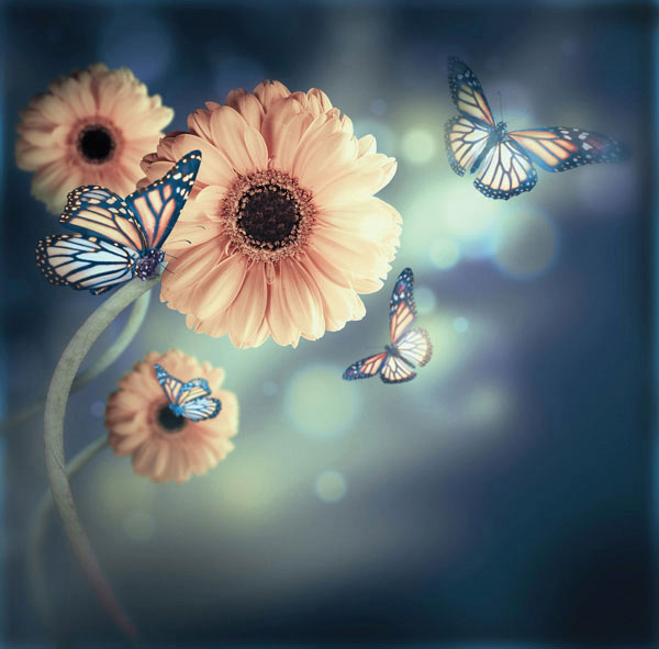 Προτάσεις για διακόσμησηΟ πίνακας σε καμβά FLOZ-278 αποτελεί μία εκπληκτική προσθήκη σε κάθε χώρο που αναζητά ένα άγγιγμα φυσικής ομορφιάς. Μπορεί να τοποθετηθεί εύκολα σε μοντέρνα διακόσμηση με έμφαση στις απλές γραμμές και τα γήινα χρώματα, αναδεικνύοντας τον χώρο με έναν ήρεμο τόνο. Σε κλασικά διακοσμημένα δωμάτια, ο πίνακας προσφέρει μια ελαφριά αντίθεση με τη χρήση των ρομαντικών μοτίβων, ενώ σε μινιμαλιστικούς χώρους ενισχύει την καθαρότητα και την αρμονία με την απλότητά του.Λίγα λόγια για τον πίνακαΑυτός ο πίνακας σε καμβά απεικονίζει μια ανθοδέσμη λουλουδιών με ιδιαίτερη φροντίδα στις λεπτομέρειες, τονίζοντας τη φυσική ομορφιά των ανθών. Οι αποχρώσεις των ροζ, λευκών και πράσινων χρωμάτων συνεργάζονται αρμονικά, δημιουργώντας έναν πίνακα που εκπέμπει ηρεμία και γαλήνη. Η χρήση του φωτός και η υφή του καμβά επιτρέπουν την απαλή ανάδειξη των λουλουδιών, τονίζοντας τη φυσική τους φωτεινότητα και ζωντάνια. Ο FLOZ-278 συνδυάζει μια αίσθηση λεπτότητας και απλότητας, μεταφέροντας το θεατή σε έναν κόσμο φυσικής ομορφιάς και ηρεμίας. Η θέαση του πίνακα δημιουργεί μια βαθιά αίσθηση γαλήνης και βοηθάει να αποσυμπιεστεί το μυαλό από το άγχος της καθημερινότητας. Είναι ένας ευχάριστος υπαινιγμός ότι η τέχνη μπορεί να προσφέρει παρηγοριά και ανανέωση.Ψηφιακή εκτύπωση σε καμβά. Ο καμβάς είναι υψηλής ποιότητας, ειδικός για ψηφιακή εκτύπωση που αναδεικνύει τα χρώματα. Είναι ιδανικός για διακόσμηση εσωτερικών χώρων. Παραλαμβάνετε τον πίνακα με την ψηφιακή εκτύπωση καμβά, τελαρωμένο σε τελάρο από ανθεκτικό ξύλο 2εκ, στη διάσταση που θέλετε.