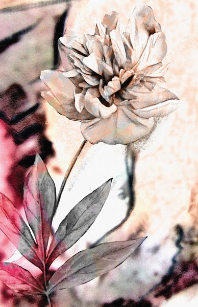 Προτάσεις για διακόσμησηΟ πίνακας σε καμβά FLOZ-301 με την απεικόνιση λουλουδιών, αποτελεί μια εξαιρετική επιλογή για να ενσωματωθεί σε διάφορα στυλ διακόσμησης. Στον κλασικό χώρο, μπορεί να προσφέρει μια γοητευτική πινελιά φυσικής ομορφιάς που εναρμονίζεται με την πλούσια και εκλεπτυσμένη διακόσμηση. Σε ένα μοντέρνο περιβάλλον, η απλότητα και τα ζωντανά χρώματα του πίνακα αναδεικνύουν τη ζωντάνια και την ενέργεια του χώρου. Για τους λάτρεις του μινιμαλιστικού στυλ, ο πίνακας προσφέρει μια ισορροπία ανάμεσα στη διακριτική κομψότητα και τη φυσική απλότητα που επιζητούν.Λίγα λόγια για τον πίνακαΟ πίνακας σε καμβά FLOZ-301 χαρακτηρίζεται από τη λεπτομερή και σχολαστική απόδοση των λουλουδιών, φέρνοντας στο προσκήνιο τα πλούσια χρώματα και τις απαραίτητες υφές που συνθέτουν την τελική του εικόνα. Η τεχνική αποπνέει ταυτόχρονα φυσικότητα και στυλιζαρισμένη απλότητα, δίνοντας έμφαση στην τέχνη της παρατήρησης και της λεπτομέρειας. Η χρήση του φωτός και της σκίασης δημιουργεί βάθος, ενώ τα ζωηρά χρώματα προσφέρουν μια ξεχωριστή φρεσκάδα που ανανεώνει τον χώρο.Ο πίνακας αυτός δημιουργεί μια αίσθηση ηρεμίας και ανανέωσης, καθώς η φύση φαίνεται να ζωντανεύει μέσα από τον καμβά. Τα ζωντανά χρώματα και οι ρεαλιστικές αποδόσεις των λουλουδιών έχουν τη δυνατότητα να καταπραΰνουν την ψυχή του θεατή και να του μεταφέρουν μια βαθιά αίσθηση σύνδεσης με τον φυσικό κόσμο. Μπορεί να αποτελέσει έμπνευση για εσωτερική γαλήνη και ευεξία, προκαλώντας συναισθήματα θετικότητας και ελπίδας.Ψηφιακή εκτύπωση σε καμβά. Ο καμβάς είναι υψηλής ποιότητας, ειδικός για ψηφιακή εκτύπωση που αναδεικνύει τα χρώματα. Είναι ιδανικός για διακόσμηση εσωτερικών χώρων. Παραλαμβάνετε τον πίνακα με την ψηφιακή εκτύπωση καμβά, τελαρωμένο σε τελάρο από ανθεκτικό ξύλο 2εκ, στη διάσταση που θέλετε.