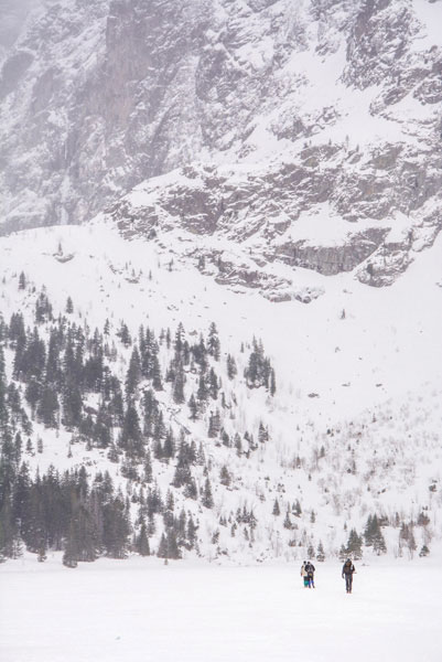 ADM-014 Ψηφιακή εκτύπωση σε καμβά. Ο καμβάς είναι υψηλής ποιότητας, ειδικός για ψηφιακή εκτύπωση που αναδεικνύει τα χρώματα. Είναι ιδανικός για διακόσμηση εσωτερικών χώρων.Παραλαμβάνετε τον πίνακα με την ψηφιακή εκτύπωση καμβά, τελαρωμένο σε τελάρο από ανθεκτικό ξύλο, στη διάσταση που θέλετε.