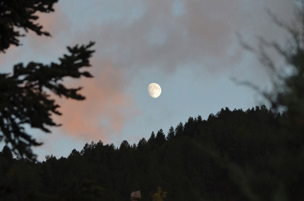 ADM-017 Ψηφιακή εκτύπωση σε καμβά. Ο καμβάς είναι υψηλής ποιότητας, ειδικός για ψηφιακή εκτύπωση που αναδεικνύει τα χρώματα. Είναι ιδανικός για διακόσμηση εσωτερικών χώρων.Παραλαμβάνετε τον πίνακα με την ψηφιακή εκτύπωση καμβά, τελαρωμένο σε τελάρο από ανθεκτικό ξύλο, στη διάσταση που θέλετε.