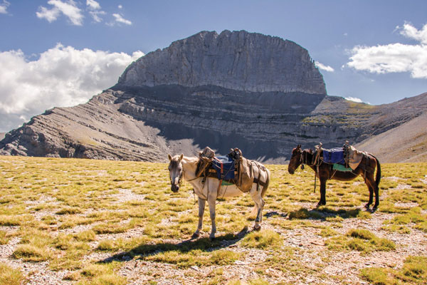ADM-028 Ψηφιακή εκτύπωση σε καμβά. Ο καμβάς είναι υψηλής ποιότητας, ειδικός για ψηφιακή εκτύπωση που αναδεικνύει τα χρώματα. Είναι ιδανικός για διακόσμηση εσωτερικών χώρων.Παραλαμβάνετε τον πίνακα με την ψηφιακή εκτύπωση καμβά, τελαρωμένο σε τελάρο από ανθεκτικό ξύλο, στη διάσταση που θέλετε.