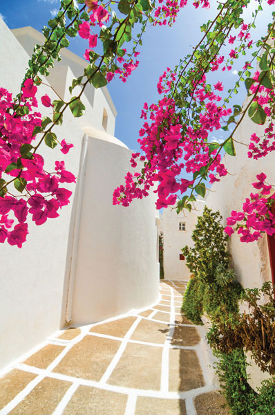 ADM-050 Ψηφιακή εκτύπωση σε καμβά. Ο καμβάς είναι υψηλής ποιότητας, ειδικός για ψηφιακή εκτύπωση που αναδεικνύει τα χρώματα. Είναι ιδανικός για διακόσμηση εσωτερικών χώρων.Παραλαμβάνετε τον πίνακα με την ψηφιακή εκτύπωση καμβά, τελαρωμένο σε τελάρο από ανθεκτικό ξύλο, στη διάσταση που θέλετε.