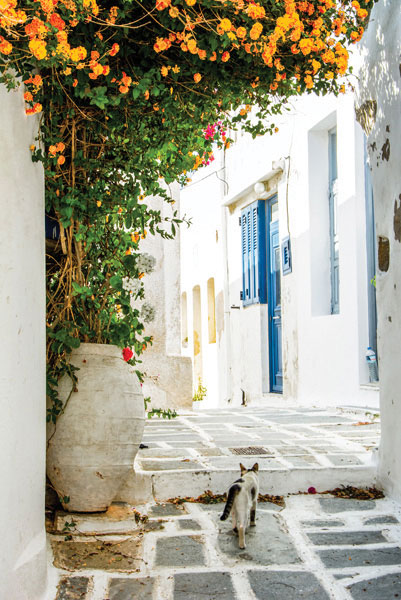 ADM-054 Ψηφιακή εκτύπωση σε καμβά. Ο καμβάς είναι υψηλής ποιότητας, ειδικός για ψηφιακή εκτύπωση που αναδεικνύει τα χρώματα. Είναι ιδανικός για διακόσμηση εσωτερικών χώρων.Παραλαμβάνετε τον πίνακα με την ψηφιακή εκτύπωση καμβά, τελαρωμένο σε τελάρο από ανθεκτικό ξύλο, στη διάσταση που θέλετε.