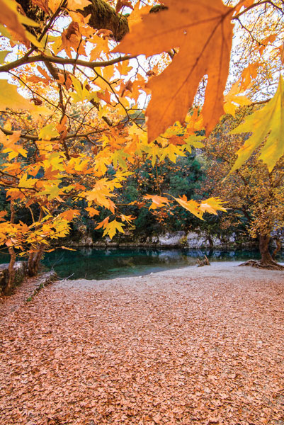 ADM-056 Ψηφιακή εκτύπωση σε καμβά. Ο καμβάς είναι υψηλής ποιότητας, ειδικός για ψηφιακή εκτύπωση που αναδεικνύει τα χρώματα. Είναι ιδανικός για διακόσμηση εσωτερικών χώρων.Παραλαμβάνετε τον πίνακα με την ψηφιακή εκτύπωση καμβά, τελαρωμένο σε τελάρο από ανθεκτικό ξύλο, στη διάσταση που θέλετε.