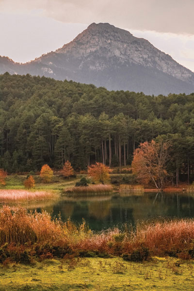 ADM-060 Ψηφιακή εκτύπωση σε καμβά. Ο καμβάς είναι υψηλής ποιότητας, ειδικός για ψηφιακή εκτύπωση που αναδεικνύει τα χρώματα. Είναι ιδανικός για διακόσμηση εσωτερικών χώρων.Παραλαμβάνετε τον πίνακα με την ψηφιακή εκτύπωση καμβά, τελαρωμένο σε τελάρο από ανθεκτικό ξύλο, στη διάσταση που θέλετε.