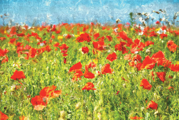 Προτάσεις για διακόσμησηΟ πίνακας σε καμβά PAI-021 διαθέτει μία ιδιαίτερη ζωγραφική που μπορεί να ενσωματωθεί με άνεση σε διάφορα στυλ διακόσμησης. Στο κλασικό περιβάλλον, μπορεί να λειτουργήσει ως εκλεπτυσμένο κεντρικό κομμάτι, ενώ στο μοντέρνο στυλ να προσθέσει αντίθεση με τις λεπτομερείς του αποχρώσεις. Σε έναν μινιμαλιστικό χώρο, ο πίνακας αναδεικνύει την απλότητα και φωτίζει το περιβάλλον με την ένταση και τη μορφή των χρωμάτων του, δημιουργώντας ένα σημείο εστίασης.Λίγα λόγια για τον πίνακαΑυτός ο πίνακας ζωγραφικής παρουσιάζει ένα επιδέξιο χειρισμό της χρωματικής παλέτας, με έντονες αλλά αρμονικές αντιθέσεις που συγκρατούν την προσοχή του θεατή. Η τεχνική χαρακτηρίζεται από δυναμικές πινελιές και πλούσιες υφές, δημιουργώντας ένα έργο που παραπέμπει στην αφηρημένη τέχνη. Το θέμα του πίνακα εξετάζει τη σχέση μεταξύ φωτός και σκότους, λειτουργώντας ως σύμβολο της συνεχούς αναζήτησης της ελπίδας μέσα στη θολούρα του σύγχρονου κόσμου.Ο πίνακας αυτός μεταφέρει μια βαθιά αίσθηση ροής και κίνησης, δίνοντας την αίσθηση ότι το θέμα δεν είναι στατικό αλλά μεταβαλλόμενο. Η ατμόσφαιρά του αποπνέει μια ισορροπημένη ένταση, ικανή να προβληματίσει αλλά και να γαληνέψει το θεατή. Το έργο πηγαίνει πέρα από την αναπαράσταση, καλώντας σε προσωπική ερμηνεία και συναισθηματική συμβίωση.Ψηφιακή εκτύπωση σε καμβά. Ο καμβάς είναι υψηλής ποιότητας, ειδικός για ψηφιακή εκτύπωση που αναδεικνύει τα χρώματα. Είναι ιδανικός για διακόσμηση εσωτερικών χώρων. Παραλαμβάνετε τον πίνακα με την ψηφιακή εκτύπωση καμβά, τελαρωμένο σε τελάρο από ανθεκτικό ξύλο 2εκ, στη διάσταση που θέλετε.