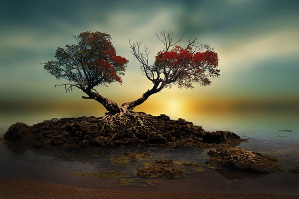 Προτάσεις για διακόσμησηΟ πίνακας σε καμβά PAIC-145 έχει τη δυνατότητα να μεταμορφώσει κάθε εσωτερικό χώρο. Με τις απαλά συνδυασμένες αποχρώσεις και τον κομψό του σχεδιασμό, μπορεί εύκολα να ενσωματωθεί σε διάφορα στυλ διακόσμησης. Σε έναν κλασικό χώρο, μπορεί να τονίσει την αίσθηση της κομψότητας με τις γήινες αποχρώσεις του, ενώ σε ένα μοντέρνο ή μινιμαλιστικό περιβάλλον, μπορεί να προσθέσει μια υπόδειξη καλλιτεχνικότητας που ενισχύει την αίσθηση της αρμονίας και της ηρεμίας.Λίγα λόγια για τον πίνακαΟ PAIC-145 ανήκει στην κατηγορία των πινάκων ζωγραφικής σε καμβά και χαρακτηρίζεται από τη μοναδική τεχνική του που συνδυάζει παλαιότερα και σύγχρονα καλλιτεχνικά ρεύματα. Χρησιμοποιώντας μια διακριτική παλέτα χρωμάτων, οι κομψές πινελιές του καλλιτέχνη δημιουργούν ένα αποτέλεσμα ισορροπίας και ροής. Η σύνθεση αυτή παραπέμπει σε ένα κλασικό αλλά ταυτόχρονα διαχρονικό θέμα, που προσδίδει έναν υποτονικό αλλά δυναμικό χαρακτήρα.Ο πίνακας αποπνέει μια αίσθηση γαλήνης και συνδέει τον θεατή με την εσωτερική του ηρεμία. Η ροή των χρωμάτων και των γραμμών δημιουργεί μια διακριτική κίνηση που καταφέρνει να αιχμαλωτίσει την προσοχή και να προκαλέσει στοχαστικούς προβληματισμούς. Αυτή η αύρα δημιουργεί μια διάθεση διαλογισμού και αυτοεξέτασης, συνδέοντας τον θεατή με τα βαθύτερα συναισθήματά του, αποκαλύπτοντας την ομορφιά στη σιωπή της καλλιτεχνικής έκφρασης.Ψηφιακή εκτύπωση σε καμβά. Ο καμβάς είναι υψηλής ποιότητας, ειδικός για ψηφιακή εκτύπωση που αναδεικνύει τα χρώματα. Είναι ιδανικός για διακόσμηση εσωτερικών χώρων. Παραλαμβάνετε τον πίνακα με την ψηφιακή εκτύπωση καμβά, τελαρωμένο σε τελάρο από ανθεκτικό ξύλο 2εκ, στη διάσταση που θέλετε.