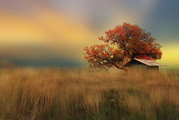 Προτάσεις για διακόσμησηΟ πίνακας σε καμβά PAIC-171 αποτελεί έναν ιδανικό τρόπο για να προσθέσετε μια εκλεπτυσμένη πινελιά σε κάθε χώρο. Το μοναδικό του θέμα και τα απαλά χρώματα μπορούν να ενσωματωθούν εξίσου αποτελεσματικά σε διακόσμηση με κλασικό ύφος, προσδίδοντας ζεστασιά και διαχρονικότητα, ή και σε πιο μοντέρνες προσεγγίσεις, όπου η αρμονία του σχεδίου αναδεικνύει τη λιτότητα και την καθαρότητα του χώρου. Οι χρωματικές του αποχρώσεις ταιριάζουν ιδανικά με το μινιμαλιστικό στυλ, προσφέροντας έναν ήρεμο αλλά εντυπωσιακό τόνο στην ατμόσφαιρα.Λίγα λόγια για τον πίνακαΟ PAIC-171 είναι ένας κομψός πίνακας ζωγραφικής σε καμβά, ο οποίος χαρακτηρίζεται από μια εξαίσια χρήση της υφής και του φωτός που προσδίδουν βάθος και ζωντάνια στο έργο. Το έργο αυτό αποτελεί ένα μέσο έκφρασης της σχέσης του ανθρώπου με τη φύση, μέσα από τις αποχρώσεις και τις μορφές που απεικονίζονται. Οι λεπτές πινελιές και οι αρμονικά συνδυασμένες χρωματικές παλέτες προσφέρουν μια εντυπωσιακή διάδραση φωτός και σκιάς, που τονίζει τη συνολική σύνθεση και την αισθητική του.Ο πίνακας δημιουργεί μια αίσθηση ηρεμίας και στοχασμού, ιδανικός για να προκαλέσει όμορφα και γαλήνια συναισθήματα στον θεατή. Μέσα από τις λεπτομέρειες του έργου, αναδύεται μια σιωπηλή ιστορία που καλεί τον παρατηρητή να στοχαστεί και να συνδεθεί βαθύτερα με το περιεχόμενο. Η τέχνη αυτή αποπνέει μια γαλήνια ηρεμία, η οποία μπορεί να εμβαθύνει τη σχέση μεταξύ χώρου και θεατή, προσφέροντας μια εμπειρία ομορφιάς και ψυχικής ανάτασης.Ψηφιακή εκτύπωση σε καμβά. Ο καμβάς είναι υψηλής ποιότητας, ειδικός για ψηφιακή εκτύπωση που αναδεικνύει τα χρώματα. Είναι ιδανικός για διακόσμηση εσωτερικών χώρων. Παραλαμβάνετε τον πίνακα με την ψηφιακή εκτύπωση καμβά, τελαρωμένο σε τελάρο από ανθεκτικό ξύλο 2εκ, στη διάσταση που θέλετε.