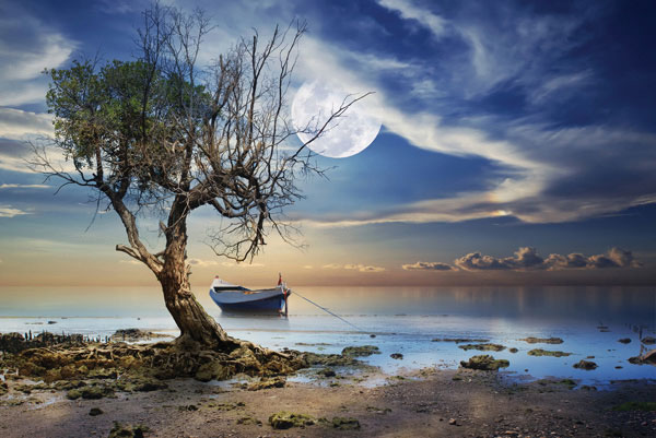 Προτάσεις για διακόσμησηΟ πίνακας σε καμβά PAIC-203 είναι μια διαχρονική επιλογή για κάθε χώρο που επιδιώκει είτε ένα κλασικό είτε ένα μοντέρνο στυλ διακόσμησης. Οι ουδέτερες αποχρώσεις μαζί με τις διακριτικές γραμμές και το καλλιτεχνικό ύφος του μπορούν να ενσωματωθούν εύκολα σε ένα μινιμαλιστικό περιβάλλον, προσθέτοντας μια πινελιά κομψότητας και βάθους. Επιπλέον, ο συγκεκριμένος πίνακας μπορεί να λειτουργήσει ως κεντρικό στοιχείο σε ένα χώρο με παραδοσιακά έπιπλα, αναδεικνύοντας την αρχοντιά και το καλό γούστο των ιδιοκτητών.Λίγα λόγια για τον πίνακαΟ πίνακας PAIC-203 χαρακτηρίζεται από τις κομψές πινελιές και τις απαλά διακριτικές υφές, που τον ξεχωρίζουν στο μάτι του θεατή. Οι πλούσιες χρωματικές αντιθέσεις και η ευφυής χρήση του φωτός εκφράζουν μια αίσθηση πρωτόγνωρης ζωντάνιας και βάθους. Συμβολικά, αυτό το έργο μπορεί να θεωρηθεί ότι εξετάζει τη σχέση του ανθρώπου με τη φύση, αντικατοπτρίζοντας την αρμονική συνύπαρξη των δύο. Το συνολικό αποτέλεσμα είναι μια αξιόλογη σύνθεση που εκφράζει αισθητική αριστεία και πλήρη καλλιτεχνική ωριμότητα.Ο πίνακας δημιουργεί αίσθηση ηρεμίας με την συγκρατημένη αλλά πλούσια παλέτα του, ενώ ταυτόχρονα ίσως να αφήνει τον θεατή με σκέψεις πάνω σε αυτό που δεν μπορεί να δει άμεσα, αλλά να το αισθανθεί. Η σύνδεση με το θεατή επέρχεται από την ευαισθησία με την οποία έχει αποτυπωθεί κάθε λεπτομέρεια, δημιουργώντας μια βαθιά αίσθηση προσωπικής σύνδεσης και ενδοσκόπησης.Ψηφιακή εκτύπωση σε καμβά. Ο καμβάς είναι υψηλής ποιότητας, ειδικός για ψηφιακή εκτύπωση που αναδεικνύει τα χρώματα. Είναι ιδανικός για διακόσμηση εσωτερικών χώρων. Παραλαμβάνετε τον πίνακα με την ψηφιακή εκτύπωση καμβά, τελαρωμένο σε τελάρο από ανθεκτικό ξύλο 2εκ, στη διάσταση που θέλετε.