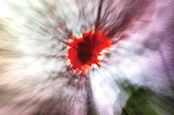 Προτάσεις για διακόσμησηΟ πίνακας σε καμβά PAIC-211 είναι ιδανικός για να προσθέσει κομψότητα και ένα άγγιγμα τέχνης σε κάθε εσωτερικό χώρο. Με τα απαλά και ζεστά χρώματα που τον χαρακτηρίζουν, μπορεί να ενταχθεί αρμονικά τόσο σε κλασικούς όσο και σε μοντέρνους χώρους, προσδίδοντας αισθητική ισορροπία. Σε έναν μινιμαλιστικό χώρο, αυτός ο πίνακας μπορεί να λειτουργήσει ως το κεντρικό σημείο που τραβά το βλέμμα, ενώ σε ένα πιο παραδοσιακό περιβάλλον μπορεί να συμπληρώσει το ύφος με διακριτική πολυτέλεια.Λίγα λόγια για τον πίνακαΟ πίνακας αυτός είναι έργο ζωγραφικής σε καμβά, όπου η χρήση των χρωμάτων και των υφών παίζει κεντρικό ρόλο στη δημιουργία ενός βαθύτατου συναισθηματικού τοπίου. Οι καλλιτέχνης χρησιμοποιεί πλούσιες πινελιές και εναλλαγές στο φως για να δημιουργήσει μια ισορροπία μεταξύ πραγματικότητας και φαντασίας. Η θεματολογία του έργου εξετάζει τη σχέση του ανθρώπου με τη φύση, προβάλλοντας την αρμονία αλλά και την αντιπαράθεση. Η παλέτα χρωμάτων, με ζεστούς τόνους, συμβάλλει στην αίσθηση ηρεμίας και γαλήνης που αποπνέει το έργο.Ο πίνακας δημιουργεί μια αίσθηση ενδοσκόπησης και ηρεμίας, επιτρέποντας στον θεατή να χαθεί στη λεπτομέρεια και την αρμονία του τοπίου. Είναι σαν να μεταφέρεσαι σε έναν άλλο κόσμο όπου οι σκέψεις και τα συναισθήματα μπορούν να ταξιδέψουν ελεύθερα. Αυτό το έργο έχει τη μοναδική ικανότητα να καλλιεργεί στο θεατή μια βαθιά αίσθηση γαλήνης και αναστοχασμού.Ψηφιακή εκτύπωση σε καμβά. Ο καμβάς είναι υψηλής ποιότητας, ειδικός για ψηφιακή εκτύπωση που αναδεικνύει τα χρώματα. Είναι ιδανικός για διακόσμηση εσωτερικών χώρων. Παραλαμβάνετε τον πίνακα με την ψηφιακή εκτύπωση καμβά, τελαρωμένο σε τελάρο από ανθεκτικό ξύλο 2εκ, στη διάσταση που θέλετε.