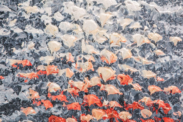 Προτάσεις για διακόσμησηΟ πίνακας σε καμβά PAIC-219 ενσωματώνει άψογα στοιχεία που μπορούν να ταιριάξουν σε διάφορα στυλ διακόσμησης. Το κλασικό σαλόνι σας μπορεί να αποκτήσει μια νότα φρεσκάδας προσθέτοντας αυτόν τον πίνακα στον χώρο, ενώ παράλληλα το μοντέρνο γραφείο μπορεί να αναδειχθεί με την απλότητα και την πολυπλοκότητα των χρωμάτων του. Για τους λάτρεις του μινιμαλισμού, ο πίνακας προσφέρει ένα σημείο εστίασης με τις ουδέτερες αποχρώσεις του που συμπληρώνουν ιδανικά ένα καθαρό και εκλεπτυσμένο περιβάλλον.Λίγα λόγια για τον πίνακαΟ πίνακας PAIC-219 είναι μια εικαστική ζωγραφική που χαρακτηρίζεται από την απαλή μετάβαση των χρωμάτων και την ισορροπία των σχημάτων. Χρησιμοποιώντας γήινους τόνους και απαλά παλ στοιχεία, ο καλλιτέχνης δημιουργεί ένα αρμονικό σύνολο που αποπνέει ηρεμία και ισορροπία. Οι απαλές πινελιές και η ήσυχη παλέτα τονίζουν την φυσική ομορφιά του θέματος και προσφέρουν μια τέλεια απόδραση από την καθημερινότητα.Η σύνθεση αυτού του πίνακα προσελκύει τον θεατή με την αίσθηση ηρεμίας που μεταφέρει. Η χρήση του φωτός και των σκιών δημιουργεί μια διάσταση που προσκαλεί τον θεατή να ανακαλύψει την εσωτερική γαλήνη και να συνδεθεί με το έργο σε συναισθηματικό επίπεδο. Το PAIC-219 μεταφέρει μια βαθιά αίσθηση ηρεμίας, αφήνοντας τον θεατή να αφουγκραστεί τη σιωπηλή αρμονία που εκφράζεται μέσα από τα χρώματα και τις γραμμές.Ψηφιακή εκτύπωση σε καμβά. Ο καμβάς είναι υψηλής ποιότητας, ειδικός για ψηφιακή εκτύπωση που αναδεικνύει τα χρώματα. Είναι ιδανικός για διακόσμηση εσωτερικών χώρων. Παραλαμβάνετε τον πίνακα με την ψηφιακή εκτύπωση καμβά, τελαρωμένο σε τελάρο από ανθεκτικό ξύλο 2εκ, στη διάσταση που θέλετε.