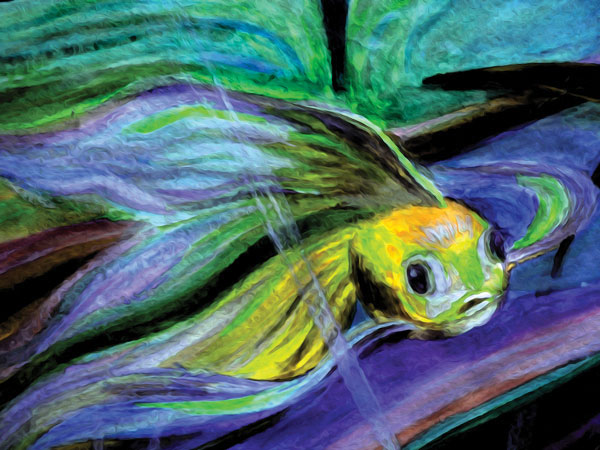 Προτάσεις για διακόσμησηΟ πίνακας σε καμβά PAIC-316 είναι μια εξαιρετική επιλογή για τη διακόσμηση εσωτερικών χώρων με διάφορα στυλ. Στο κλασικό στυλ διακόσμησης, μπορεί να τοποθετηθεί σε έναν κομψά επιπλωμένο χώρο, προσθέτοντας μια πινελιά διαχρονικής τέχνης μέσω των γλυκών του χρωμάτων. Σε έναν μοντέρνο χώρο, η τολμηρή χρήση του φωτός και της σκιάς από τον πίνακα προσδίδει έναν μοντέρνο χαρακτήρα, δημιουργώντας αντιθέσεις που αιχμαλωτίζουν το βλέμμα. Στο μινιμαλιστικό, η επιφανειακή απλότητα του έργου μπορεί να προσφέρει ένα σημείο εστίασης που εκφράζει την ουσία της τέχνης μέσα από μια λιτή αλλά ισχυρή μορφή.Λίγα λόγια για τον πίνακαΑυτή η ζωγραφική χαρακτηρίζεται από λεπτές πινελιές και μια εντυπωσιακή κλίμακα χρωμάτων, από απαλές παστέλ έως πιο σκούρες, δραματικές τόνους. Οι υφές του καμβά αναδεικνύουν τη δεξιοτεχνία του καλλιτέχνη, δημιουργώντας ένα έργο γεμάτο κίνηση και ζωή. Μέσα από το παιχνίδι του φωτός και της σκιάς, το έργο μπορεί να ερμηνευτεί ως μια αναπαράσταση της αρμονίας και της αντίφασης που ενορχηστρώνουν τον ανθρώπινο ψυχισμό. Η χρήση των χρωμάτων ενδέχεται να εξυψώνει την αισιοδοξία, ενώ οι σκιές προσδίδουν μια διάσταση βαθύτερης σκέψης.Ο πίνακας, με τις έντονες πινελιές του και τη βαθιά χρωματική παλέτα, δημιουργεί μια αίσθηση μυστηρίου και φαντασίας. Η ηρεμία που αποπνέει μπορεί να προσδώσει έναν χώρο εσωτερικής γαλήνης ενώ παράλληλα καλεί τον θεατή να αναλογιστεί την εσωτερική του αρμονία. Με την παρουσία του, μεταφέρει μια βαθιά αίσθηση καθαρότητας και εμπνευσμένης τέχνης, εμπλουτίζοντας τον θεατή με σκέψεις για την ισορροπία και την αναζήτηση της ομορφιάς στην καθημερινή ζωή.Ψηφιακή εκτύπωση σε καμβά. Ο καμβάς είναι υψηλής ποιότητας, ειδικός για ψηφιακή εκτύπωση που αναδεικνύει τα χρώματα. Είναι ιδανικός για διακόσμηση εσωτερικών χώρων. Παραλαμβάνετε τον πίνακα με την ψηφιακή εκτύπωση καμβά, τελαρωμένο σε τελάρο από ανθεκτικό ξύλο 2εκ, στη διάσταση που θέλετε.