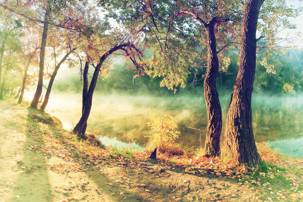 Προτάσεις για διακόσμησηΟ πίνακας σε καμβά TOPC-003 προσδίδει μια μοναδική αίσθηση ηρεμίας, που μπορεί να ενσωματωθεί σε διάφορα στυλ διακόσμησης. Σε έναν κλασικό χώρο, οι γήινες αποχρώσεις και τα φυσικά μοτίβα μπορούν να λειτουργήσουν ως αντιπαραβολές ανάμεσα σε παραδοσιακά έπιπλα και υφάσματα, προσδίδοντας αρμονία και ισορροπία. Ενώ σε έναν μοντέρνο ή μινιμαλιστικό χώρο, το ανεπιτήδευτο ύφος και οι καθαρές γραμμές της εικόνας αναδεικνύουν την απλότητα και τη δομή. Η απαλή παλέτα του πίνακα μπορεί να αποτελέσει τον ιδανικό καμβά για δημιουργία ενός εσωτερικού χώρου γεμάτου φως και λεπτότητα.Λίγα λόγια για τον πίνακαΑυτός ο πίνακας ανήκει στην κατηγορία των τοπίων και αποτυπώνει την φυσική ομορφιά με κομψότητα και πιστότητα στη λεπτομέρεια. Η χρήση φωτεινών και δροσερών χρωμάτων αποτυπώνει την αρμονία της φύσης, ενώ οι μαλακές και ρευστές πινελιές δημιουργούν μια εντύπωση κίνησης, σαν να ζωντανεύει το τοπίο μπροστά στα μάτια του θεατή. Ο καλλιτέχνης έχει επιμεληθεί την κάθε λεπτομέρεια με προσοχή, χρησιμοποιώντας τεχνικές ψηφιακής επεξεργασίας που αναδεικνύουν τα χαρακτηριστικά του πίνακα και προσδίδουν ζωντάνια στις αποχρώσεις.Το έργο TOPC-003 δημιουργεί μια αίσθηση γαλήνης και σύνδεσης με τη φύση, μεταφέροντας τον θεατή σε έναν κόσμο όπου η αρμονία και η φυσικότητα κυριαρχούν. Η χρήση των χρωμάτων και το παιχνίδι του φωτός προσφέρουν στο θεατή την ευκαιρία να χαλαρώσει και να αναλογιστεί τις λεπτότητες της ζωής. Η ζωντάνια και η απλότητα του πίνακα δελεάζουν το βλέμμα και προσκαλούν τον παρατηρητή να «περπατήσει» στο τοπίο και να νιώσει την γαλήνη του περιβάλλοντος.Ψηφιακή εκτύπωση σε καμβά. Ο καμβάς είναι υψηλής ποιότητας, ειδικός για ψηφιακή εκτύπωση που αναδεικνύει τα χρώματα. Είναι ιδανικός για διακόσμηση εσωτερικών χώρων. Παραλαμβάνετε τον πίνακα με την ψηφιακή εκτύπωση καμβά, τελαρωμένο σε τελάρο από ανθεκτικό ξύλο 2εκ, στη διάσταση που θέλετε.