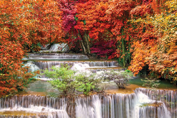 Προτάσεις για διακόσμησηΟ πίνακας σε καμβά WAF-035 με θέμα τοπία και φύση, ενσωματώνεται ιδανικά σε διάφορα στυλ διακόσμησης. Σε ένα κλασικό περιβάλλον, μπορεί να προσθέσει μια νότα φυσικής γαλήνης, ενσωματώνοντας το στοιχείο του νερού ως σύμβολο καθαρότητας και ζωτικότητας. Στο πλαίσιο ενός μοντέρνου στυλ, οι ζωντανές αποχρώσεις του πίνακα έρχονται σε αντίθεση με τις απλές γραμμές, προσδίδοντας βάθος και ενέργεια. Σε ένα μινιμαλιστικό στυλ, ο πίνακας λειτουργεί ως το κεντρικό σημείο ενδιαφέροντος, προσφέροντας έναν εστιασμένο και γαλήνιο τόνο στον χώρο.Λίγα λόγια για τον πίνακαΟ WAF-035 αποτελεί έναν μοναδικό συνδυασμό τεχνικής δεξιοτεχνίας με καλλιτεχνικό πάθος. Ο φωτογραφικός χαρακτήρας του προσφέρει μια ρεαλιστική αναπαράσταση της φύσης, με κύριο θέμα του μια υπέροχη καταρράκτη. Το φως παίζει σημαντικό ρόλο στη σύνθεση, διαχέεται απαλά μέσα από τις φυλλωσιές, προσδίδοντας μια αίσθηση ελπίδας και αρμονίας. Η αντίθεση μεταξύ των πράσινων τόνων της βλάστησης και των γαλάζιων αποχρώσεων του νερού δημιουργεί μια δυναμική ισορροπία, ενισχύοντας την ηρεμία και την αίσθηση δροσιάς.Ο πίνακας σε καμβά, αν και φωτογραφικός, προσφέρει μια συναισθηματική αφήγηση μέσω της απεικόνισης της φύσης σε μία από τις πιο εντυπωσιακές και ηρεμιστικές μορφές της. Η προβολή του καταρράκτη, μέσα από την κρυσταλλική ροή του νερού και την περιβάλλουσα βλάστηση, δημιουργεί στον θεατή μια βαθιά αίσθηση απόδρασης από την καθημερινότητα, επιτρέποντάς του να μεταδίδεται σε ένα κόσμο γαλήνης και ανανέωσης.Ψηφιακή εκτύπωση σε καμβά. Ο καμβάς είναι υψηλής ποιότητας, ειδικός για ψηφιακή εκτύπωση που αναδεικνύει τα χρώματα. Είναι ιδανικός για διακόσμηση εσωτερικών χώρων. Παραλαμβάνετε τον πίνακα με την ψηφιακή εκτύπωση καμβά, τελαρωμένο σε τελάρο από ανθεκτικό ξύλο 2εκ, στη διάσταση που θέλετε.