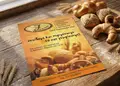 Flyer εκτυπώσεων εντύπων με ζωντανά χρώματα, ευανάγνωστη διάταξη και εντυπωσιακά γραφικά για προώθηση υπηρεσιών.