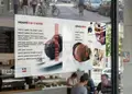 Κατάλογος café με ζωντανά χρώματα και ελκυστική διάταξη, προσαρμοσμένος για παρουσίαση ροφημάτων και φαγητών.