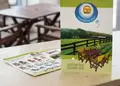 Διαφημιστική μπροσούρα με ζωντανά χρώματα και σχέδιο εξωτερικού χώρου.