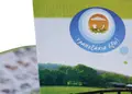 Διαφημιστική μπροσούρα με ζωντανά χρώματα και σχέδιο εξωτερικού χώρου.