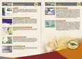 Πολύπτυχο έντυπο με ζωντανά χρώματα και εντυπωσιακά γραφικά