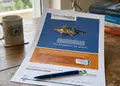 Flyer RR75748 με έντονα χρώματα και καθαρή διάταξη, ιδανικό για προωθητικές ενέργειες και προσφορές.