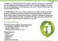 Flyer για εκπτώσεις με ζωντανά χρώματα και καθαρή διάταξη, ιδανικό για προώθηση προϊόντων και υπηρεσιών.