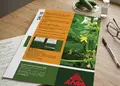 Flyer για προώθηση προσφορών με πολύχρωμο σχέδιο, έντονα χρώματα και καθαρό κείμενο.