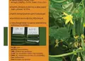 Flyer για προώθηση προσφορών με πολύχρωμο σχέδιο, έντονα χρώματα και καθαρό κείμενο.