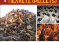 Flyer RR75819 για προώθηση με ζωντανά χρώματα και σύγχρονη διάταξη, ιδανικό για διαφήμιση προσφορών.