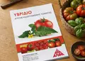 Flyer για εκτυπώσεις εντύπων με ζωηρά χρώματα και εντυπωσιακά γραφικά, ιδανικό για προώθηση προσφορών.