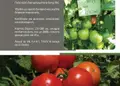 Flyer για εκτυπώσεις εντύπων με ζωηρά χρώματα και εντυπωσιακά γραφικά, ιδανικό για προώθηση προσφορών.