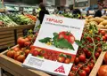 Flyer για εκτυπώσεις εντύπων με ζωηρά χρώματα και εντυπωσιακά γραφικά, ιδανικό για προώθηση προσφορών.