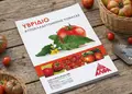 Flyer για εκτυπώσεις εντύπων με ζωηρά χρώματα και εντυπωσιακά γραφικά, ιδανικό για προώθηση προσφορών.