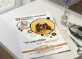 Φυλλάδιο προώθησης υπηρεσιών σε φωτεινό κίτρινο και σκούρο μπλε, με εικόνες προϊόντων και σύγχρονες γραμματοσειρές.
