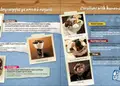 Κατάλογος café με κομψό σχέδιο, ζωντανά χρώματα και οργανωμένη διάταξη για πιάτα και ροφήματα.