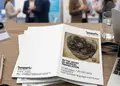 Τρίπτυχη μπροσούρα με ζωντανά χρώματα και γραφικά σε φυσικό περιβάλλον.