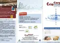 Πολύπτυχο έντυπο με έντονα χρώματα και οργανωμένη διάταξη σε φυσικό περιβάλλον