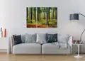 Πίνακας σε καμβά για χώρο που μπορεί να προορίζεται για το σαλόνι, με φυσικό τοπίο, αφηρημένο στυλ και μοντέρνα διακόσμηση.