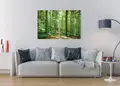 Πίνακας σε καμβά για χώρος που μπορεί να προορίζεται σε σαλόνι, με τοπίο δάσους και αφηρημένο στυλ, σε μοντέρνα διακόσμηση.