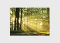 Πίνακας σε καμβά για χώρο που μπορεί να προορίζεται για σαλόνι, με τοπίο δάσους, σε ρεαλιστικό στυλ και μοντέρνα διακόσμηση.